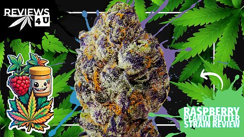 RASPBERRY PEANUT BUTTER 🍓🥜 (STRAIN REVIEW) | REVIEWS 4 U