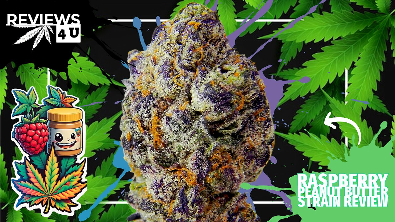 RASPBERRY PEANUT BUTTER 🍓🥜 (STRAIN REVIEW) | REVIEWS 4 U