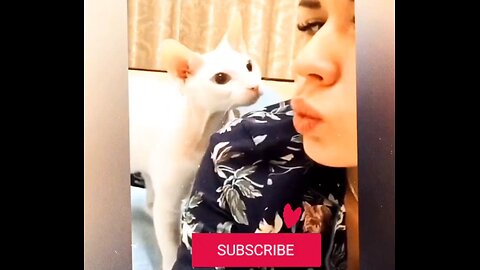 Funny Animals Reaction ♥️