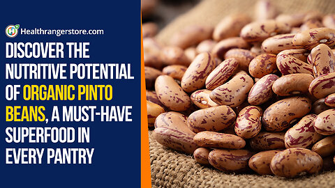 Discover the nutritive potential of Organic Pinto Beans, a must-have superfood in every pantry