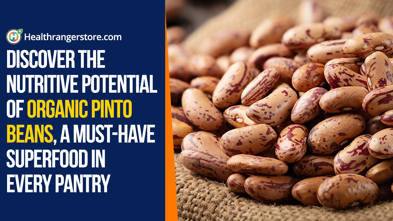 Discover the nutritive potential of Organic Pinto Beans, a must-have superfood in every pantry