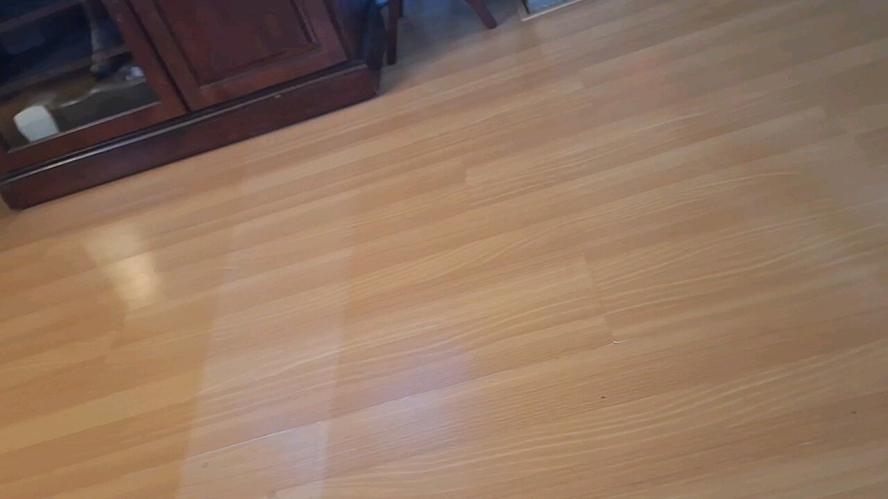 Wanting a new shredder.