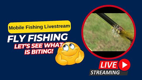 Urban Pond Fly Fishing, Let's see what is biting #fishing #livestream #Mobile