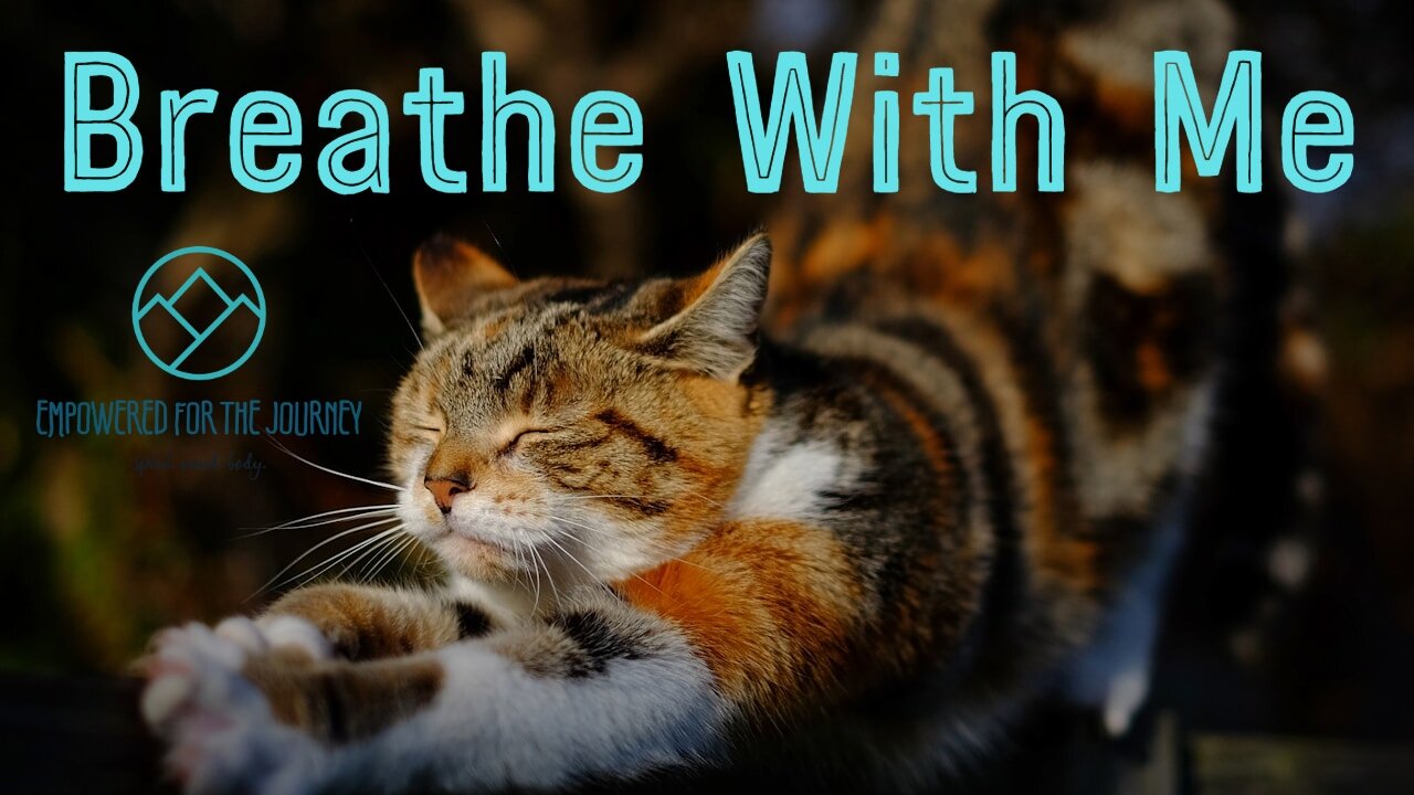 Breathe With Me (& Patches)