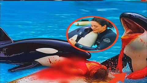 jessica radcliffe video | jessica radcliffe orca attack |Jessica Radcliffe Video | jessica radcliffe