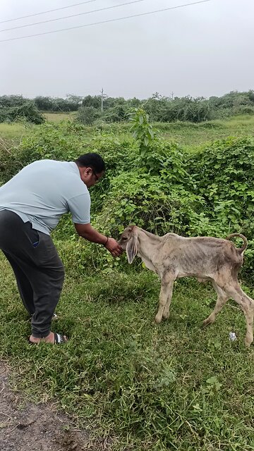 jivdaya sara karmo karo 🙏🥰🥰🥰🙏