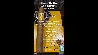 Zino Nicaragua 6x54 Toro #CigarOfTheDay #CigarReview #Shorts #Short