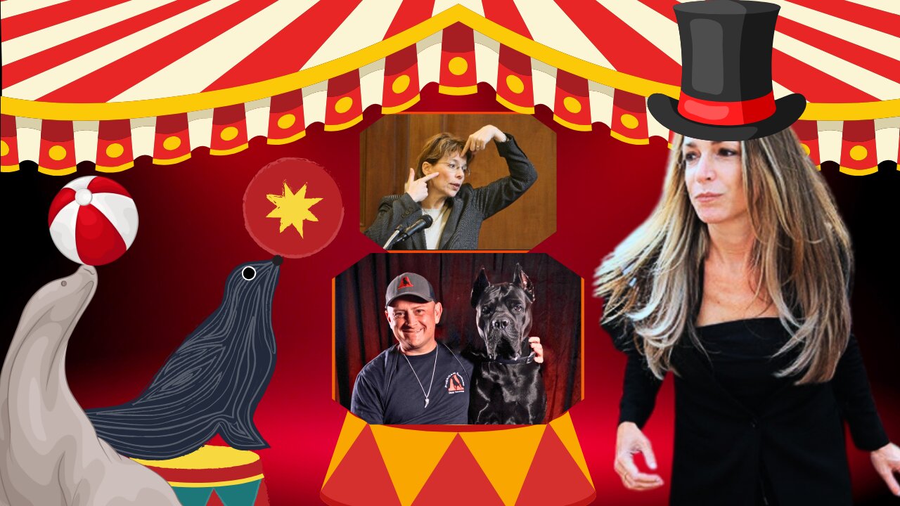 Karen Read’s Defense Expert Witness Circus!