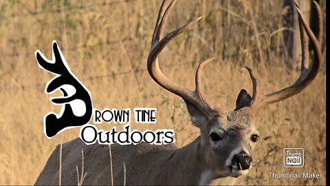 The Growing Season 46