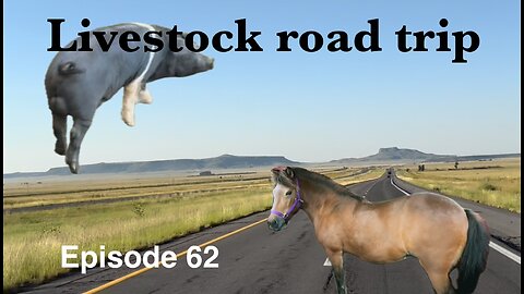 Heroes of the Highway!!