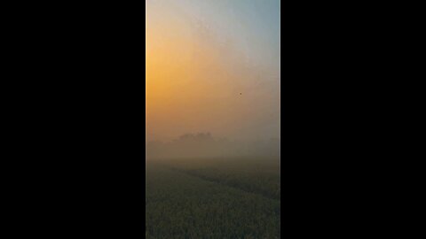 #foryoupage#viralvideo