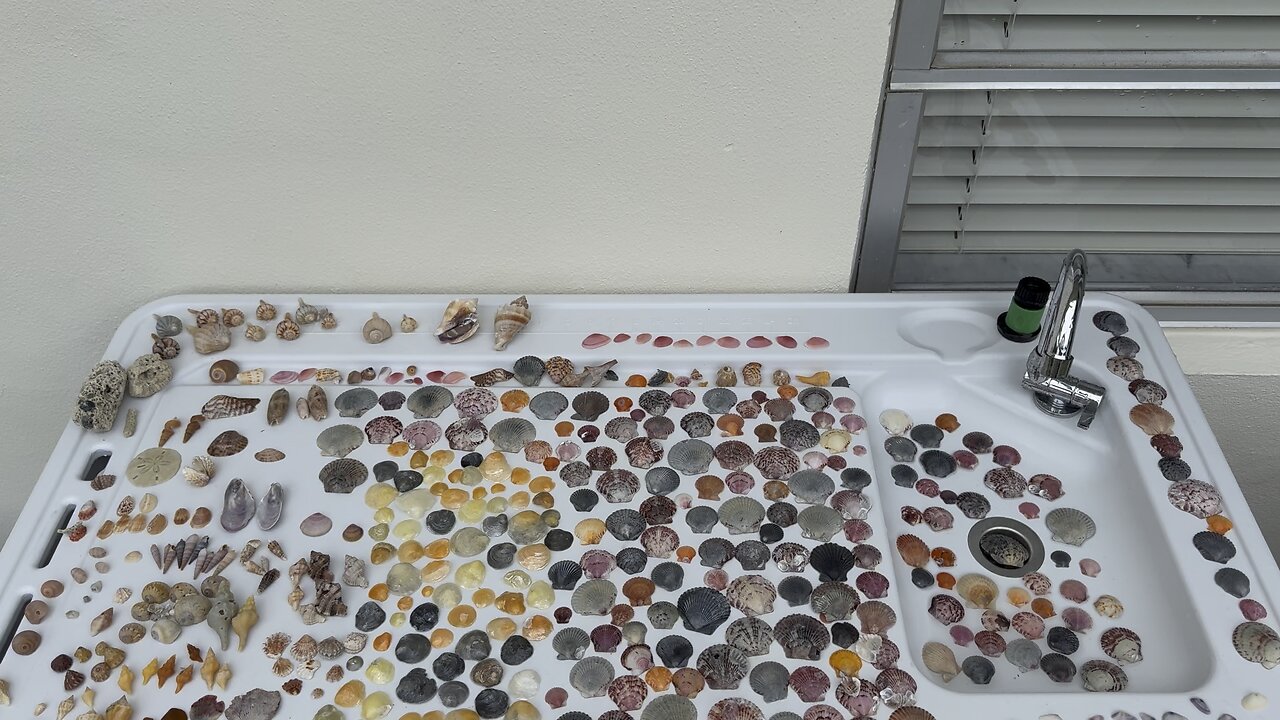 Beach Finds 6/11/25-6/12/25 | 4K