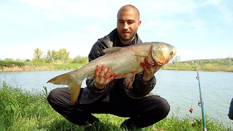 Fishing on Tolstolob Lake ,,Vitska Elia,, (Part-1) Bulgaria