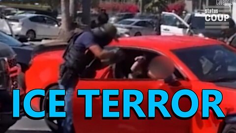 ICE TERRORIZE Pregnant Woman, KIDNAP Chicago Protesters