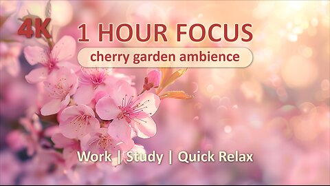 ✨1 Hour Focus | Study, Work, Relax | Calm Sleep Sunny Sakura Garden | Anxiety Relief Self Care