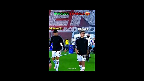 🫡🤝🫂🇵🇹👑