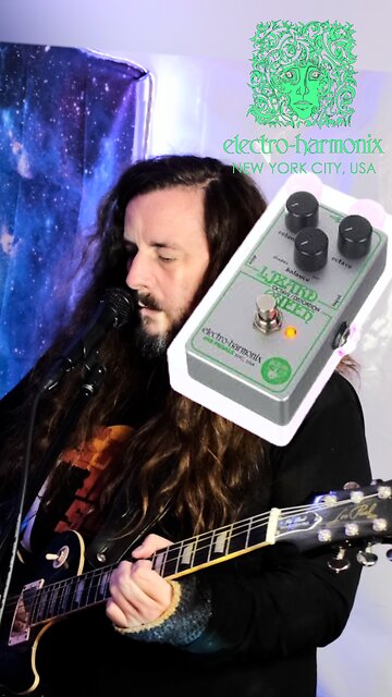 Lizard Queen Split-Rig Fuzz Chaos! 🦎🔥