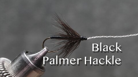 Black Palmer Hackle: a Thaddeus Norris popularized fly from the mid 1800’s