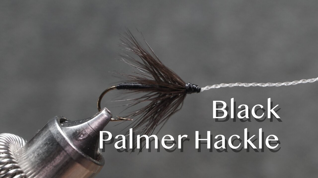 Black Palmer Hackle: a Thaddeus Norris popularized fly from the mid 1800’s