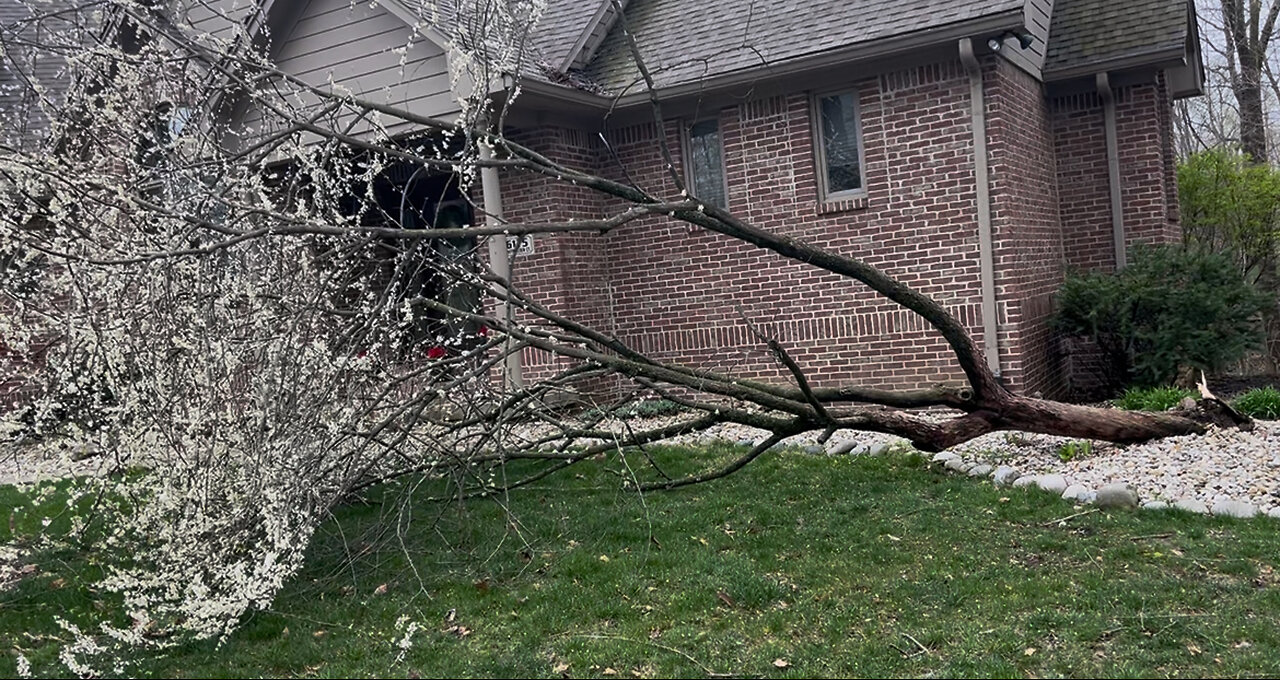 April 19, 2025 - The Aftermath of a Rough Overnight Storm