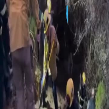 Helicopter Airlifts Horse to Safety in Dramatic Rescue**