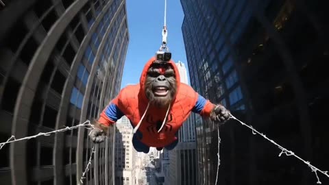 Spiderfoot