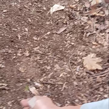 How to pitch a tent, Tips on how to setup a camp