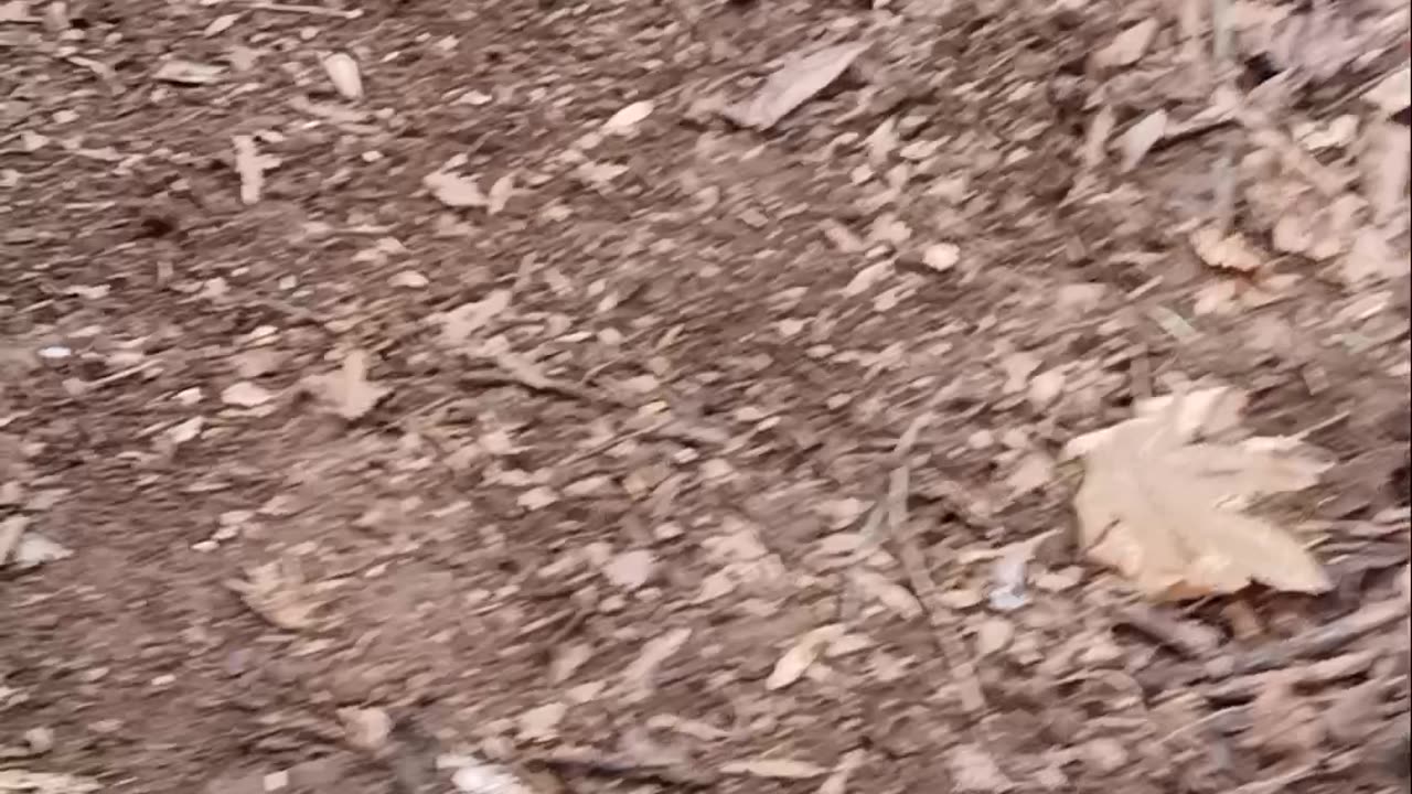 How to pitch a tent, Tips on how to setup a camp