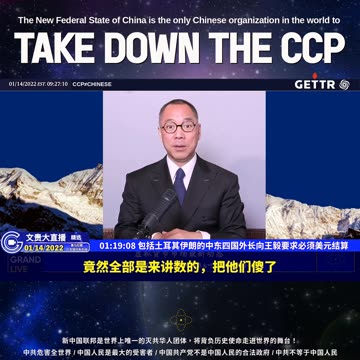 （十五）包括土耳其伊朗的中东四国外长向王毅要求必须美元结算【2022年01月14日文贵大直播精选】