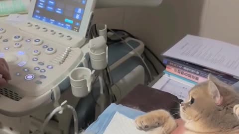 😂👶 The Cutest Ultrasound Ever! | FunFM