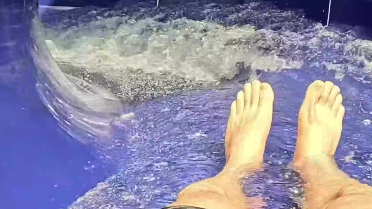 water slides - dreaming