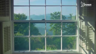 Pioneer Channel LIVE