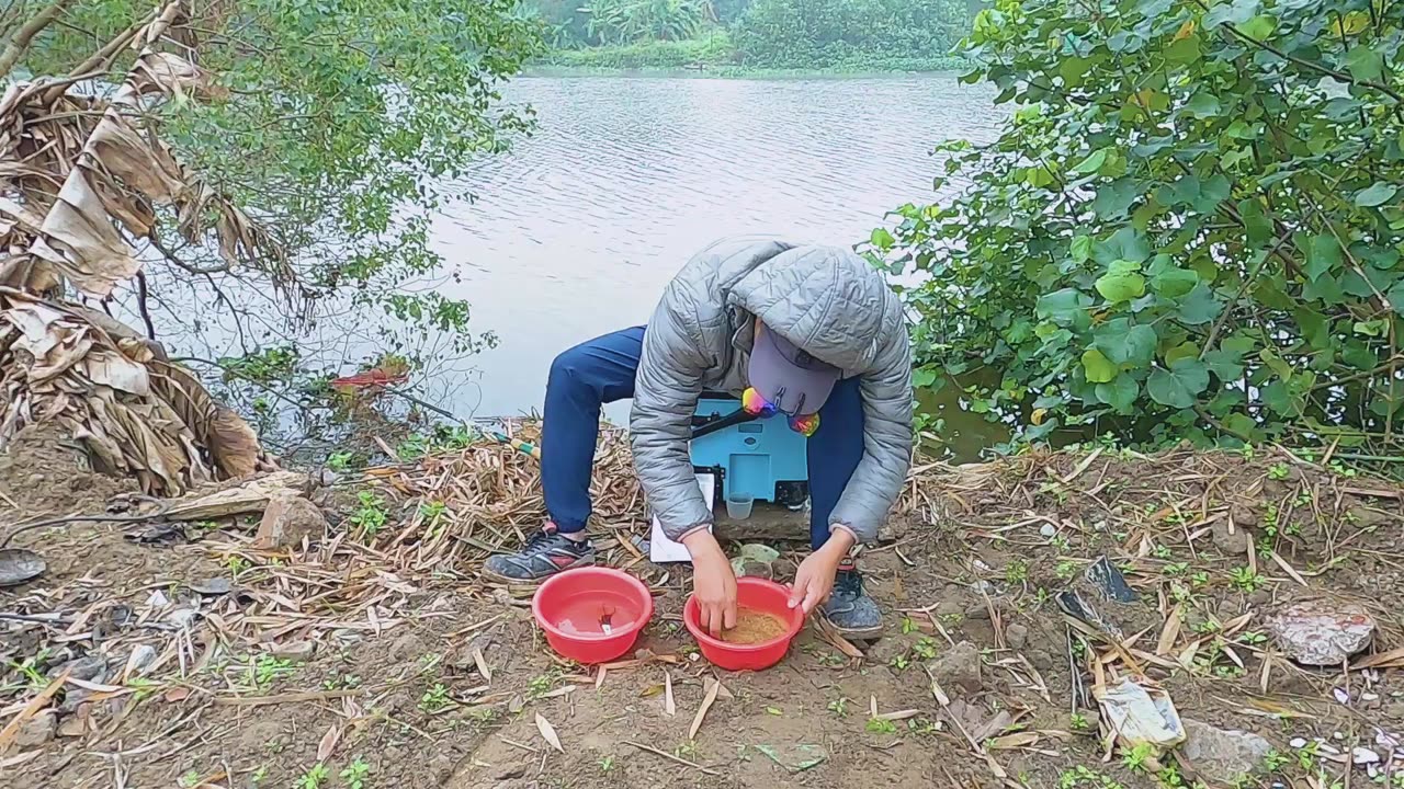 Dace Darts Through the Crystal Rapids