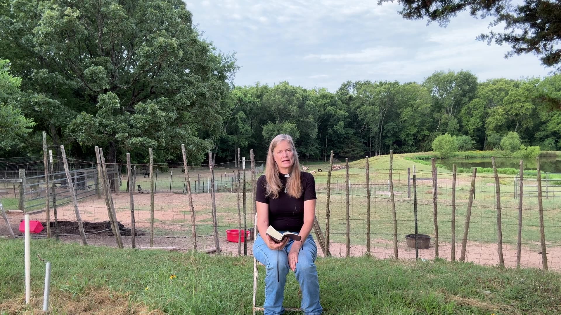 Morning Prayer, Daily Office