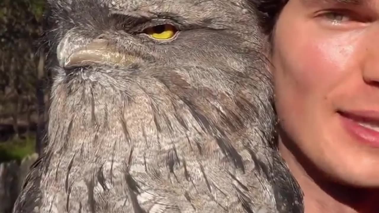 😂🐦 World's Most Unimpressed Bird! | FunFM