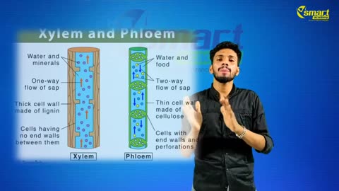 Plus Two Biology Chapter 8