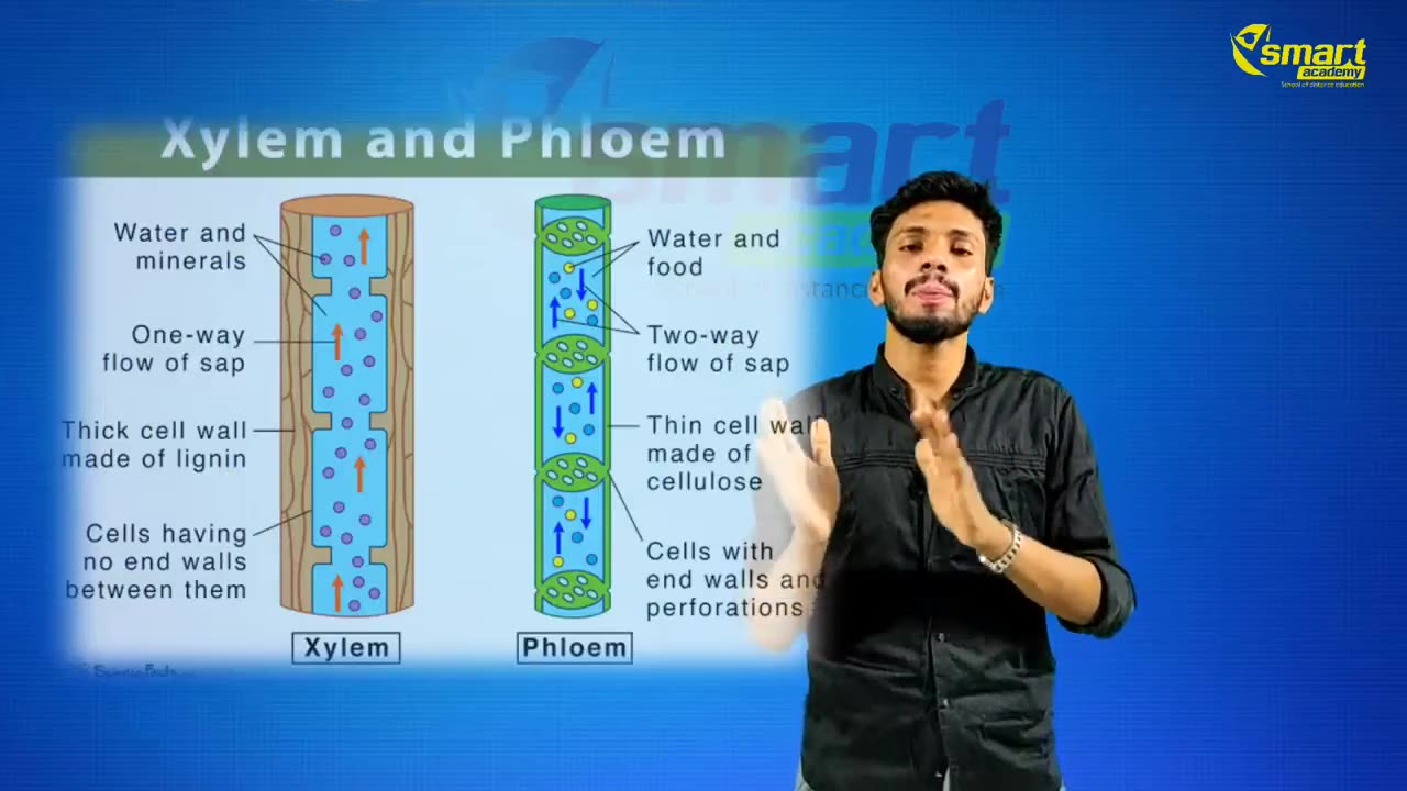 Plus Two Biology Chapter 8