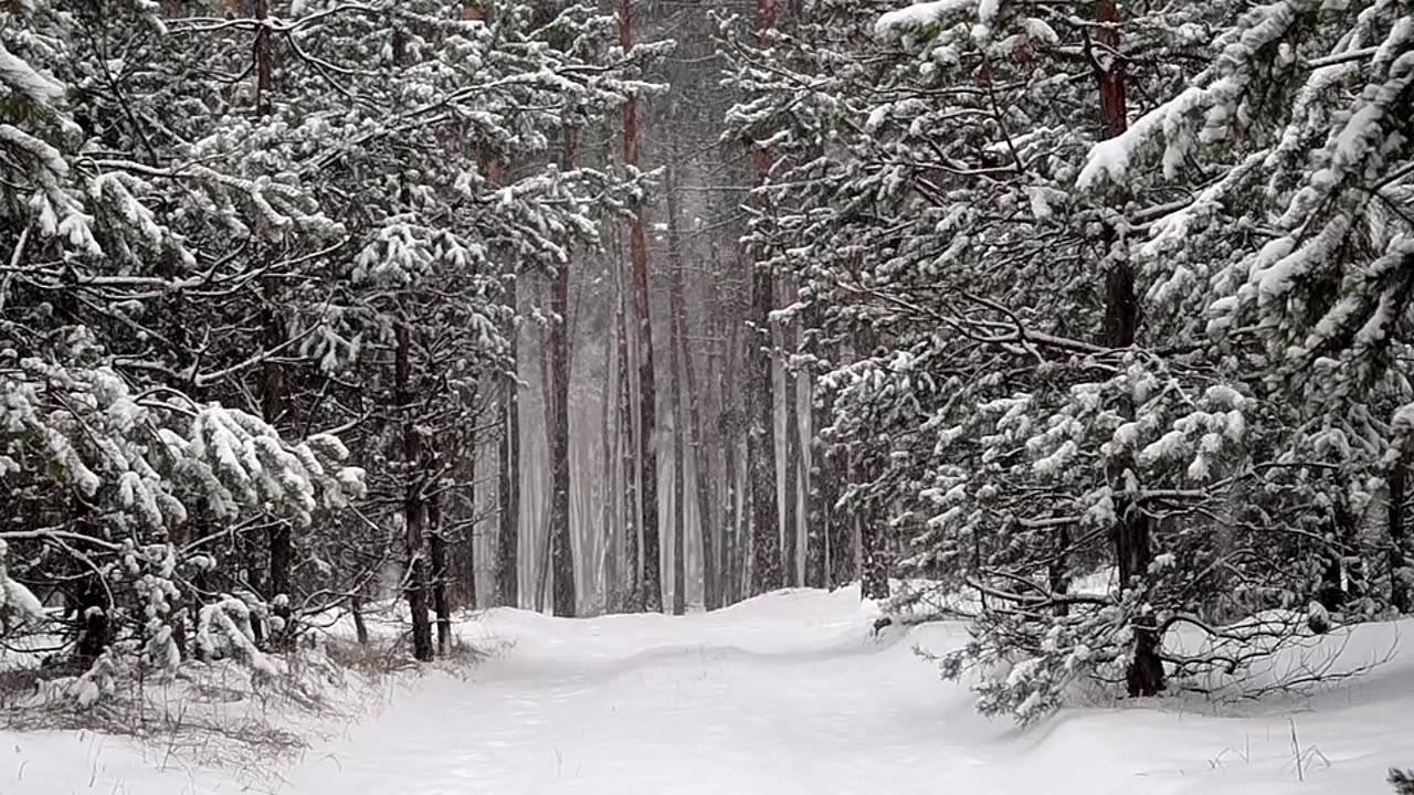 "Push yourself, because no one else is going to do it for you."