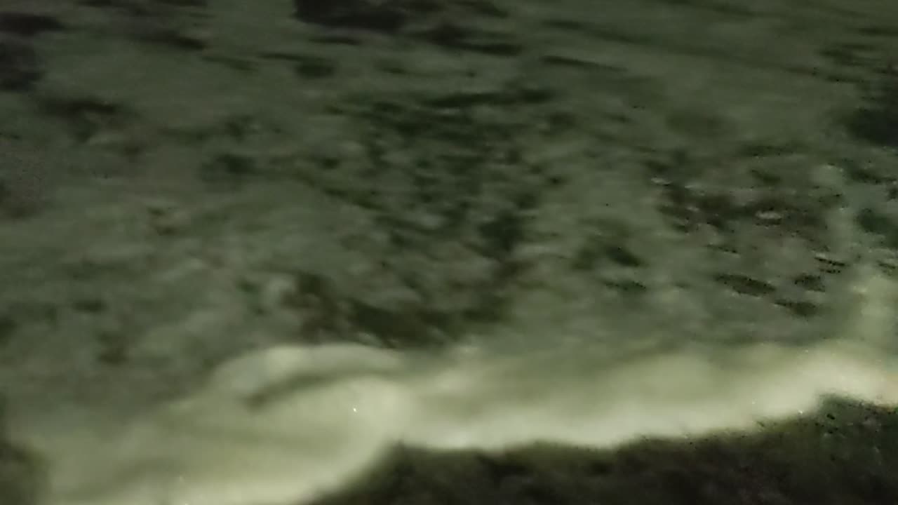 Grunion Take The Beach March 29 2025