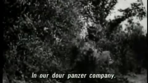 German Newsreel 533 - November 20, 1940