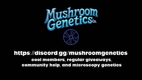 Bag Tek- How To Grow Mushrooms In A Bag At Home