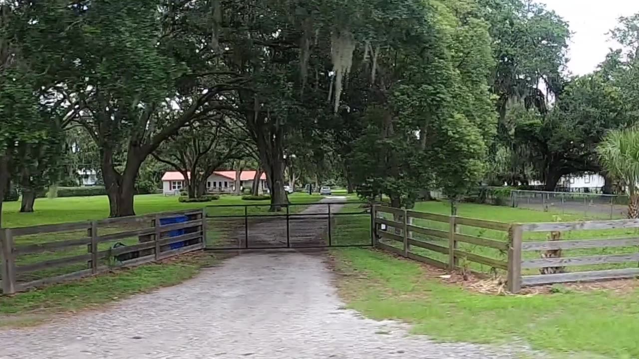 "BING BONG" OFFICIAL MUSIC VIDEO