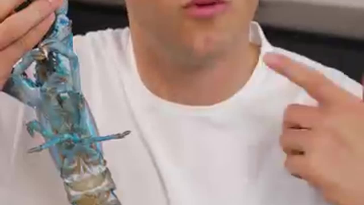 Shocking: How To Cook Blue Lobster