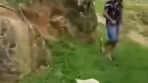 Funny 🐐