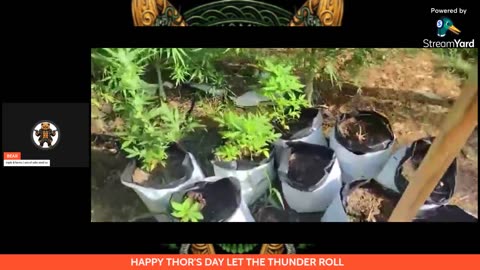 THOR'S DAY METAL UP YOUR ASS LOL