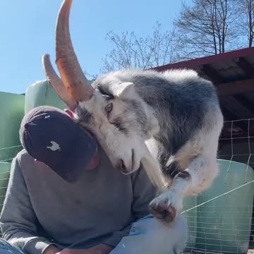 Száradjon le annak a keze,aki bántja őket,de annak is,aki hagyja!