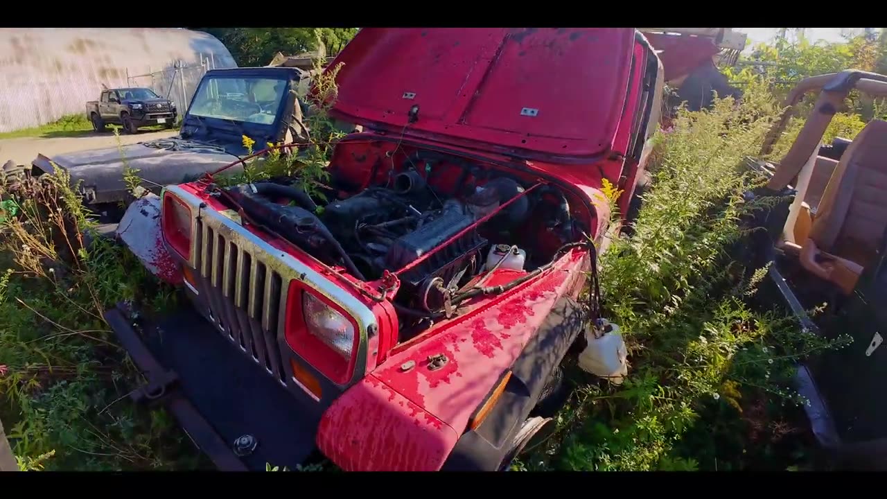 Junkyard Jackpot! Full of classic Jeeps and epic finds