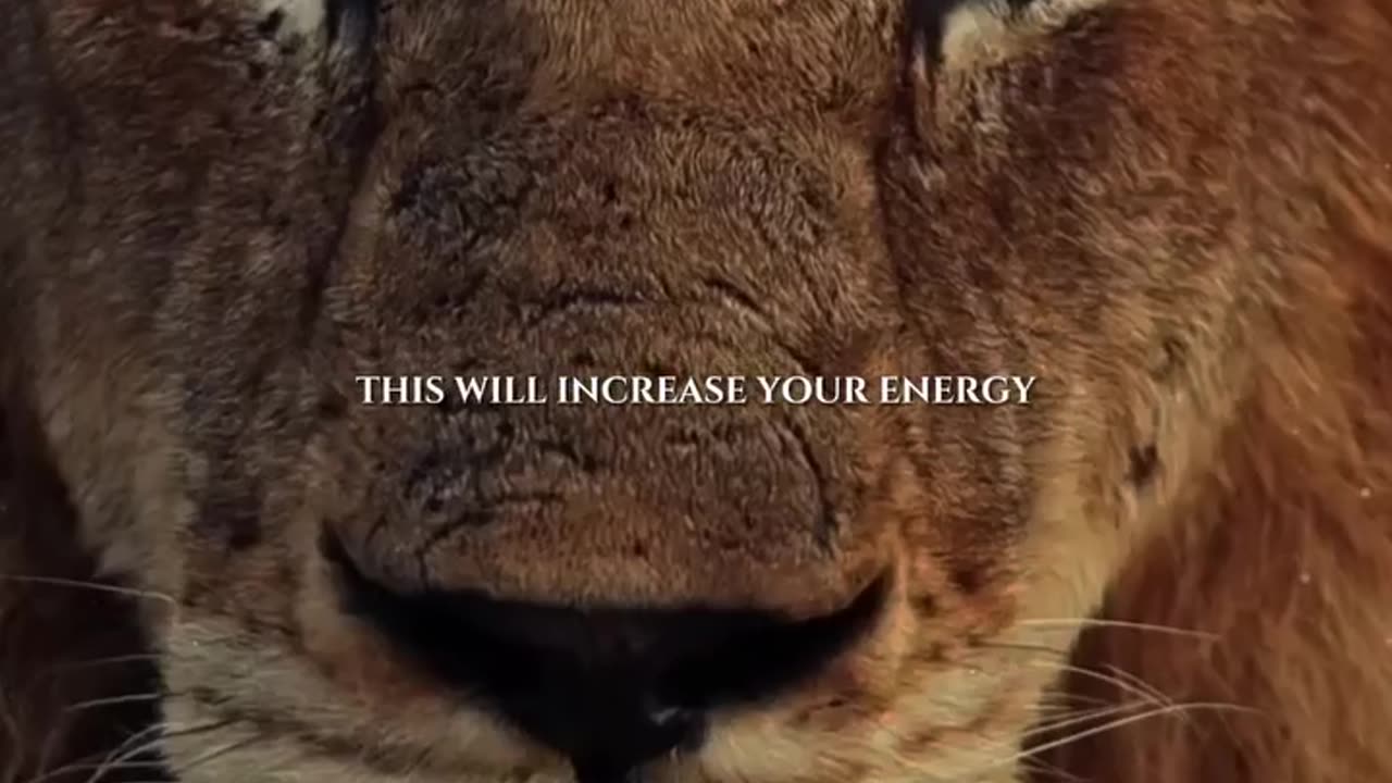 Japanese techniques to overcome laziness