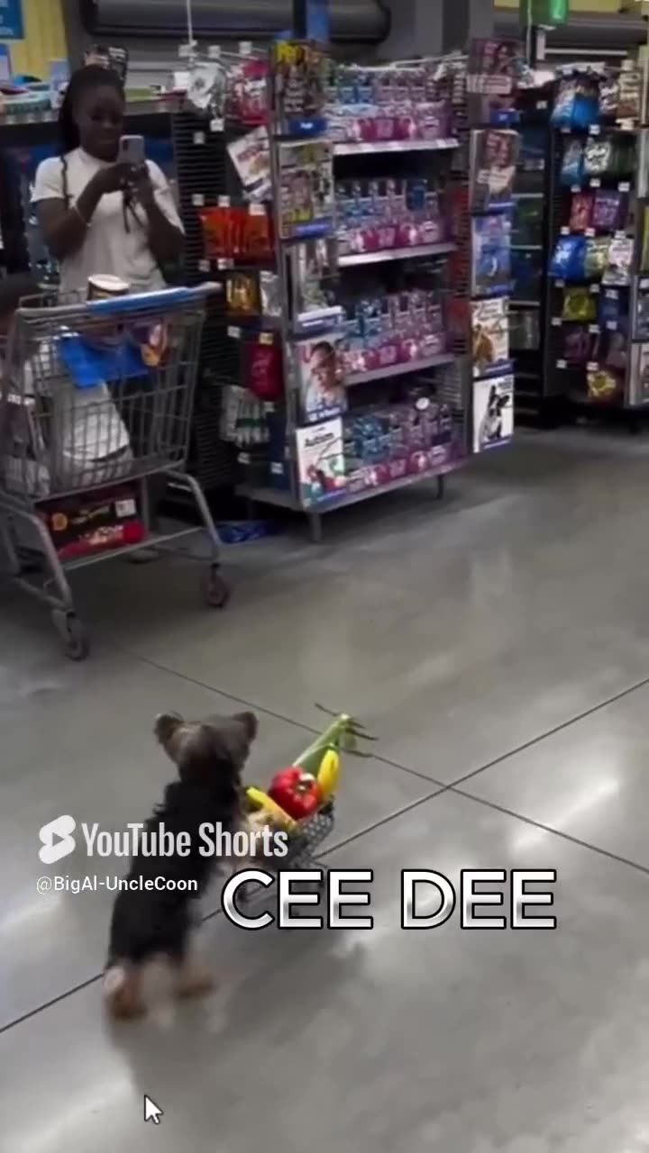 Cee Dee’s Grocery Run for the Team Meeting | CEE DEE BUYING GROCERIES FOR THE MEETING | UncleCoon