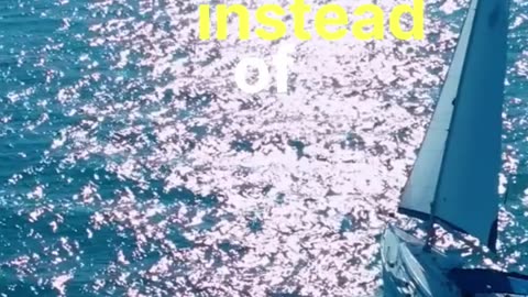 A Guide to Blue Ocean Success